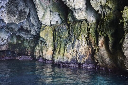 Colourful and overgrown rock walls of a grotto directly by the sea, boat trip around the island of Ortigia, Isola di Ortigia, Syracuse, Sicily, Italy