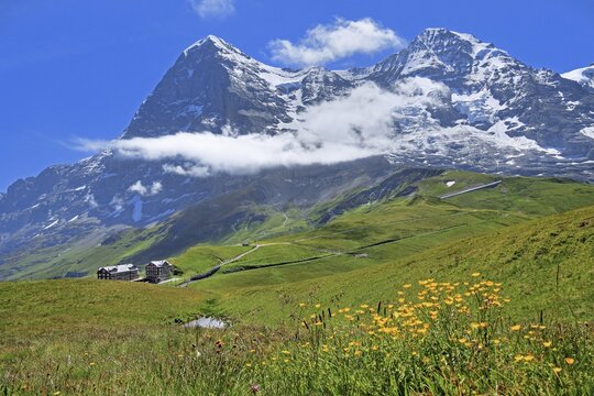 Kleine Scheidegg off the Eiger and M&ouml;nch, Wengen, Jungfrau region, Bernese Alps, Bernese Oberland, Canton of Bern, Switzerland, UNESCO World Natural Heritage