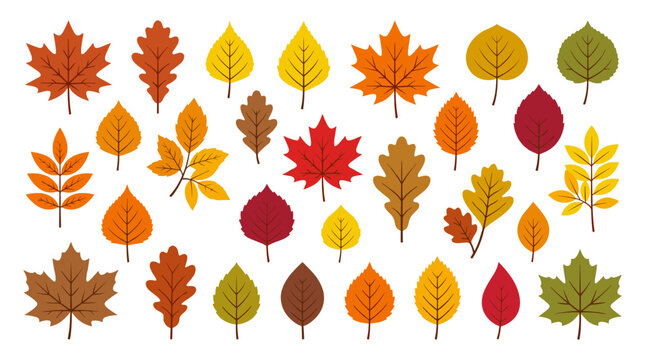 Colorful Autumn Leaves Collection in Flat Design Vector Illustration Set