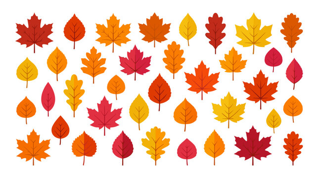 Colorful Autumn Leaves Collection in Vibrant Orange and Red Vector Illustration