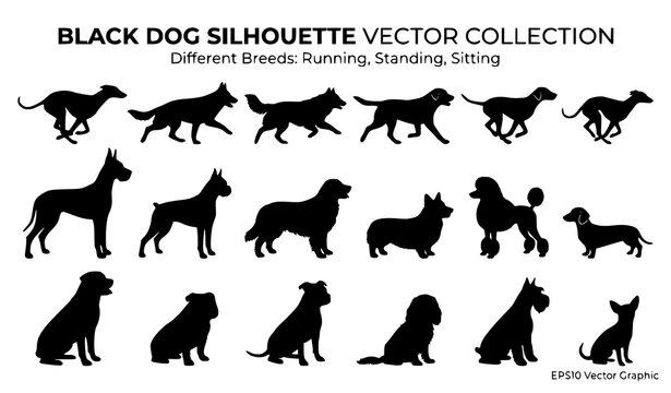 Generate a distinctive vector illustration containing 28 unique dog silhouettes isolated on a solid white background. Create a dynamic staggered arrangement featuring different breeds and body types i