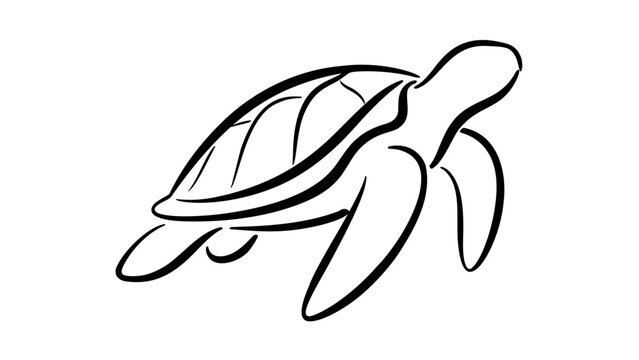 Clean flat vector line icon of a sea turtle with simple shell contours, ideal for marine life guides, aquarium signage, and eco themed apps.