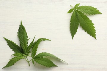 Obraz premium Frame made of hemp leaves on white wooden table, flat lay. Space for text