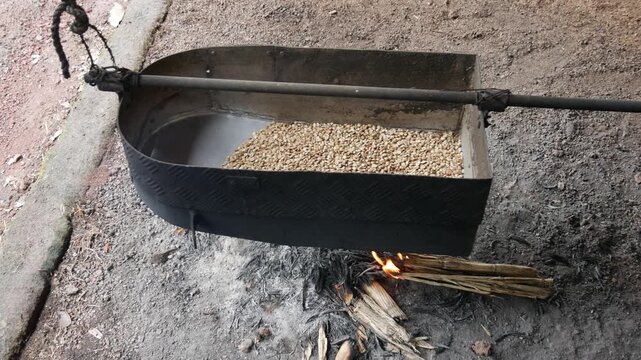 Artisanal coffee roasting process using a traditional metal pan heated over a wood fire in the Galapagos Islands, Ecuador. Rustic preparation method representing local culture, rural heritage 