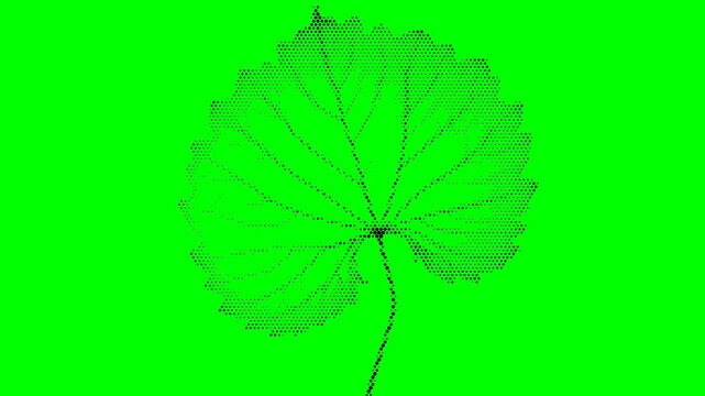 green screen leaf nature plant foliage chroma key footage environment motion graphics isolated halftone animation assemble effect