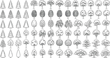 Obraz premium Comprehensive Hand Drawn Landscape Tree Collection with Deciduous Evergreen Ornamental and Conifer Vector Line Art Symbols