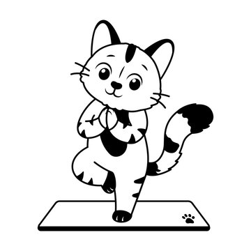 Cat sitting on a yoga mat.