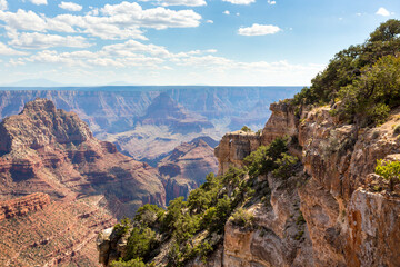 Fototapeta premium View from the North Rim of the Grand Canyon, Arizona