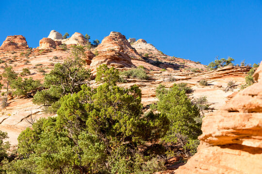 Sandstone formations near Pine Creek Canyon overlook in Zion National Park, Utah