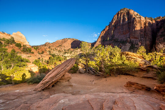 Sandstone formations near Pine Creek Canyon overlook in Zion National Park, Utah