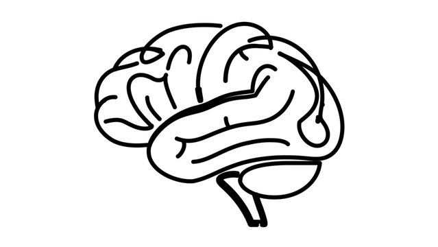 Minimal brain flat vector line icon with clean simple contours for cognition themes, medical interfaces, educational apps, and psychology content.