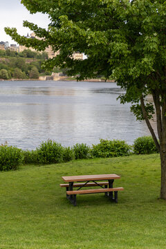 Empty picnic table under large maple tree by river in Gatineau, Canada. Riverside park green space overlooking water in Ottawa region