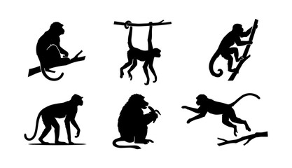 Large collection of twenty-four black monkey silhouettes in diverse poses including sitting, hanging, climbing, jumping, and eating, perfect for jungle-themed designs. © Ona