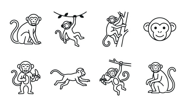 Set of eight minimalist line art monkey illustrations in various poses including sitting, hanging from vines, climbing trees, and eating bananas.