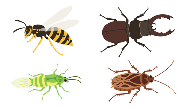 Detailed illustrations of common garden insects including a wasp, stag beetle, and various ground crawling creatures.