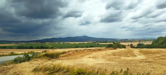 Slovakia Rural Landscape: Golden Wheat Fields and Dramatic Stormy Sky © zea_lenanet