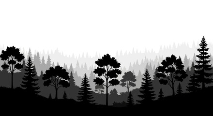 Forest landscape with layered coniferous trees in dark silhouette pine spruce woodland woods scenery nature © Itz