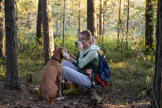 Positive woman forager having lunch break during active forest walk and food foraging together with dog, smiling female sitting on log drinking beverage, enjoying nature and interactions with pet.