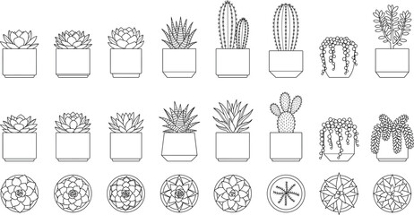 Set of potted succulents and cacti top view and elevation architectural plan icons line art © IconicCreations
