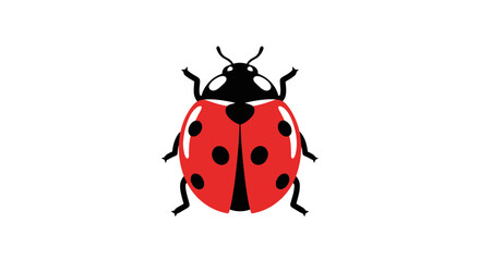 Top view of a ladybug beetle with red wings and black spots © Saufur130