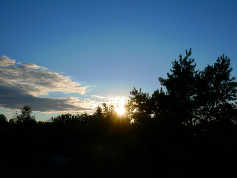 The sun is setting behind a silhouetted treeline under a clear blue sky with scattered clouds. The low sun casts a warm glow through the trees.