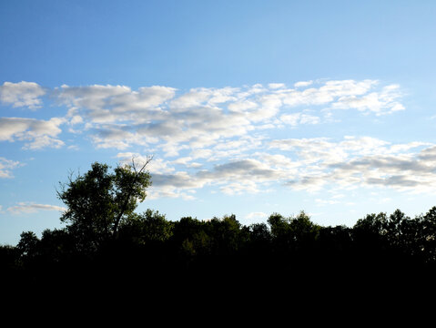 A silhouette of trees is visible against a bright blue sky with scattered white clouds.