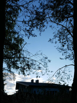A house with chimneys is silhouetted against a twilight sky, framed by the dark branches of trees. The sky is a pale blue with hints of white clouds.