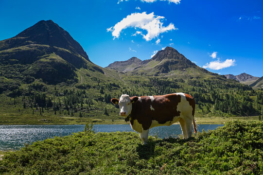 Lago s Obersee al passo di Stalle tra  Italia e Austria, lato austriaco