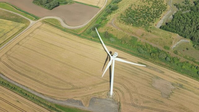 Wind Turbine Turning Its Blades in a Golden Crop Field Producing Clean Energy
