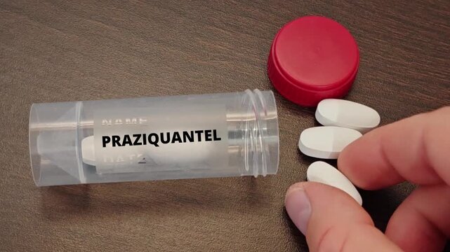 PRAZIQUANTEL anthelmintic for tapeworm and fluke infections