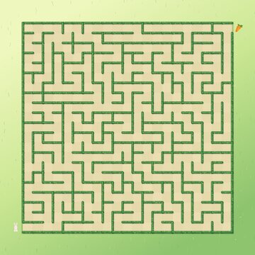 Green Hedge Maze Puzzle With Hidden Carrot