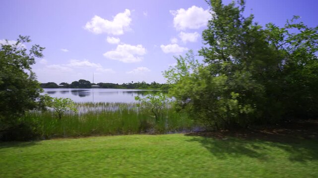 Lake in the park side view motion video 4k HDR dolby vision