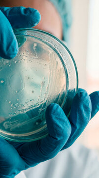 Gloved hand holding a petri dish with a bacterial culture in a laboratory