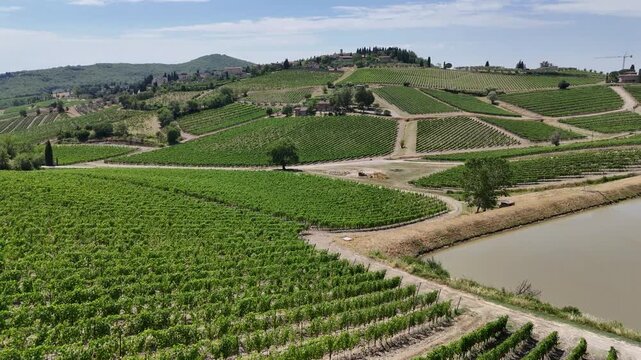 Aerial View of Vineyard Rows and Irrigation Pond in Chianti, Tuscany, Italy