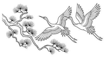 Fototapeta premium Two elegant cranes flying over old pine tree branch art.