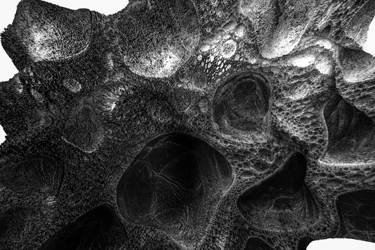  Textura de cresta de monta&ntilde;a org&aacute;nica gris Fondo abstracto 3D. Cresta texturizada gris rugosa sobre fondo negro. Sugiere ciencia, estructura y formaci&oacute;n natural org&aacute;nica. Ilustraci&oacute;n 3D.