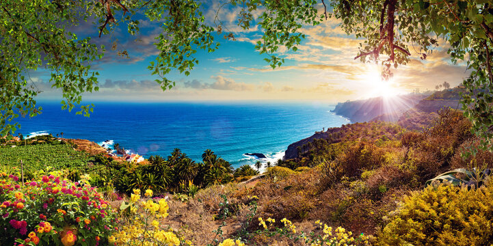  Paisaje costero de atardecer de Tenerife, vista panor&aacute;mica de flores de mar. Costa pintoresca con puesta de sol sobre el oc&eacute;ano y flores. Transmite tranquilidad, naturaleza y para&iacute;so de viajes.