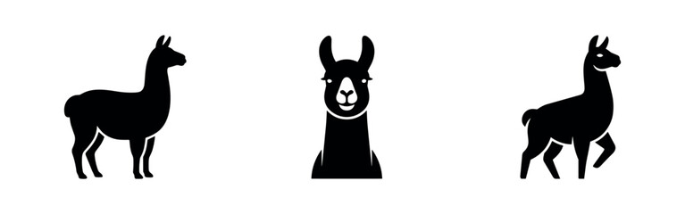 Fototapeta premium Llama icons set. Animal silhouette, portrait, and walking pose.