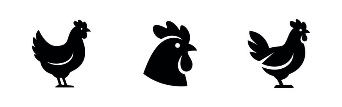 Chicken icons: hen standing, rooster head profile, and rooster standing with tail.