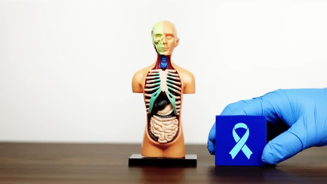 A doctor's hand displays a cube with the cancer awareness icon next to a medical model. Concept of patient support on World Cancer Day. Isolated. Slow motion.