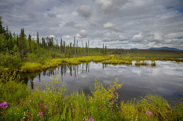 Fototapeta premium Lake in tundra