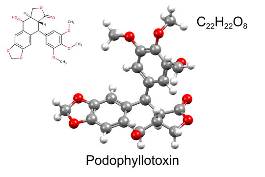 Structure of podophyllotoxin, an antiviral medication. Chemical formula, structural formula, and 3D ball-and-stick model