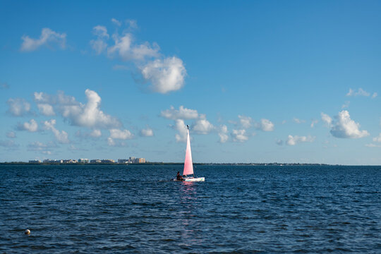 Miami, Florida, USA - January 9, 2026: Ship sailing the sea. Sail boat in Miami. Travel by sea. Sailboat vessel. Catamaran sailing in sea. Luxury catamaran yacht aerial view. Summer vacation