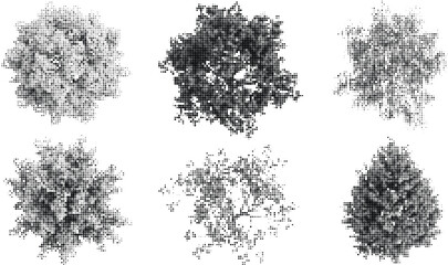 Group of abstract halftone tree top views for architectural site planning featuring textured circular patterns representing canopy coverage and greenery. © MdKorban