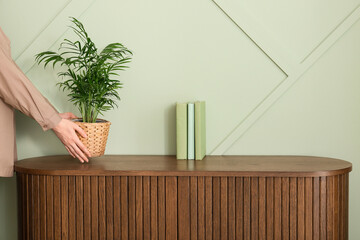 Fototapeta premium Womans hands placing a potted parlor palm plant on a wooden cabinet with books against a light green wall, Three light green books are neatly arranged next to the plant