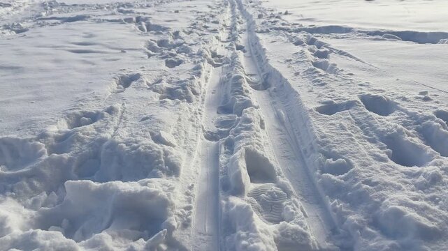 Glistening ski tracks in snow field, sunlight reflecting off textured powder, shallow drifts bordering narrow trail toward distant