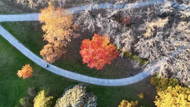 Aerial sunset view of Angrignon Park and Lachine Canal in Montreal, Quebec, Canada during autumn. g.
