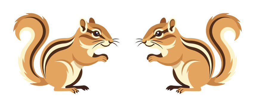 Two cute chipmunks facing each other, cartoon style animal illustration