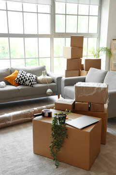 Sofas with cardboard boxes in living room on moving day