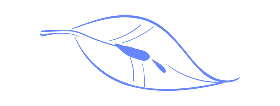 Simple lemon leaf ink line doodle. Minimalist leaf icon as cute coquette element. Linear branch with leaves on blue background for breakfast cafe menu, invitation card or restaurant logo in delicate